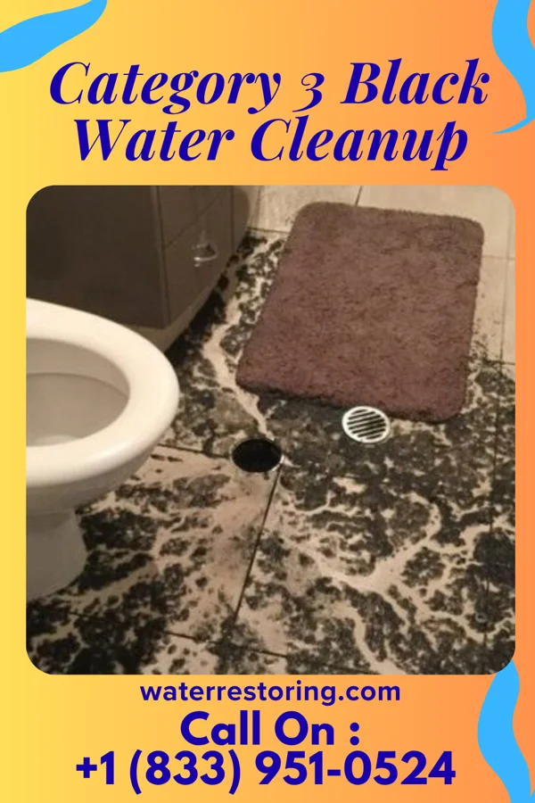 Category 3 Black Water Cleanup in Shaft, MD