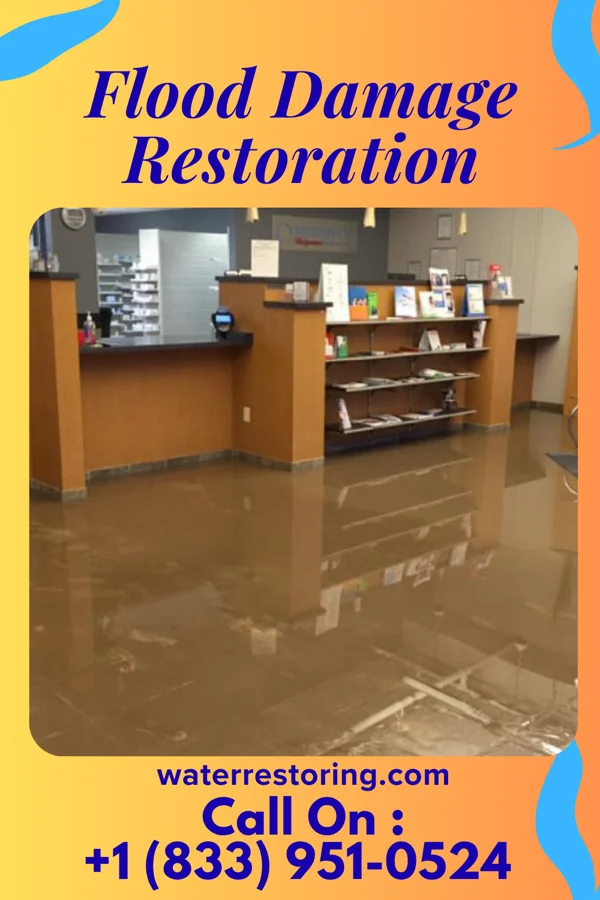 Flood Damage Restoration in Shaft, MD