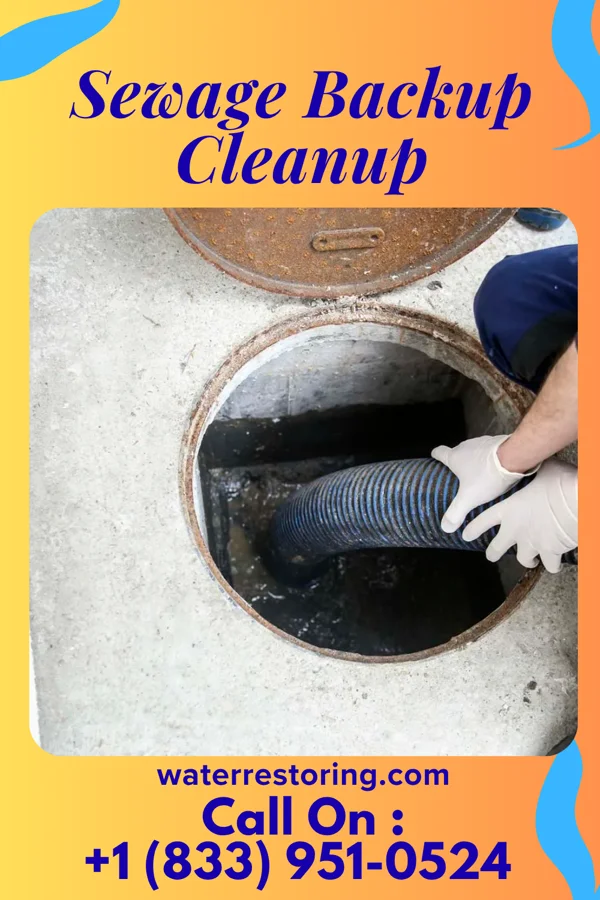 Sewage Backup Cleanup in Shaft, MD