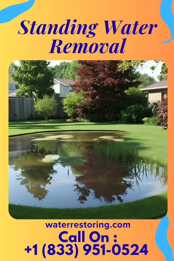 Standing Water Removal in Shaft, MD